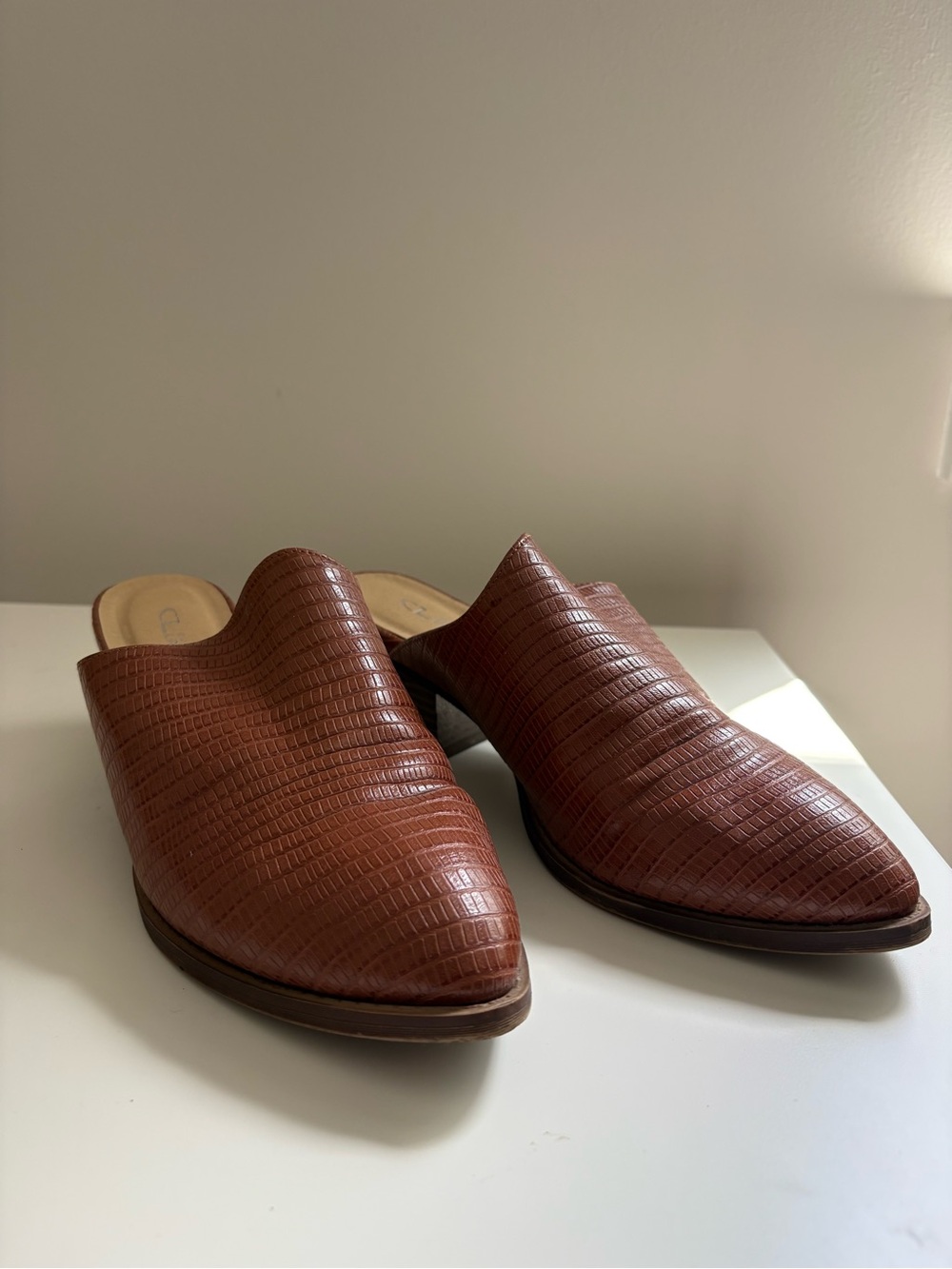 CL Chinese Laundry Brown Textured Slip-On Mules